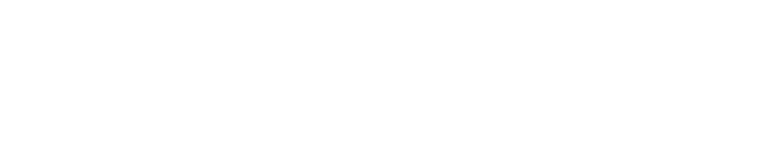 ActivForce Logo